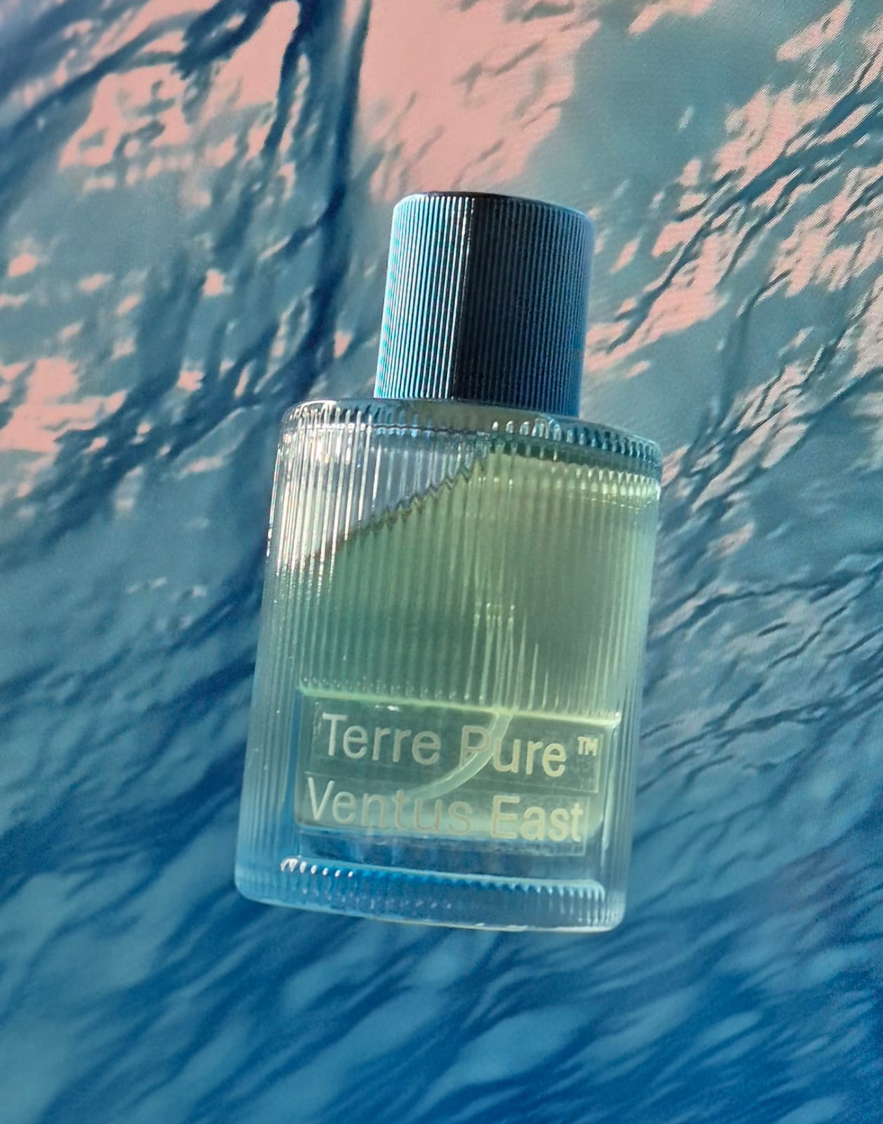 Perfume bottle labeled 'Terre Pure Ventus East' against a blue textured background